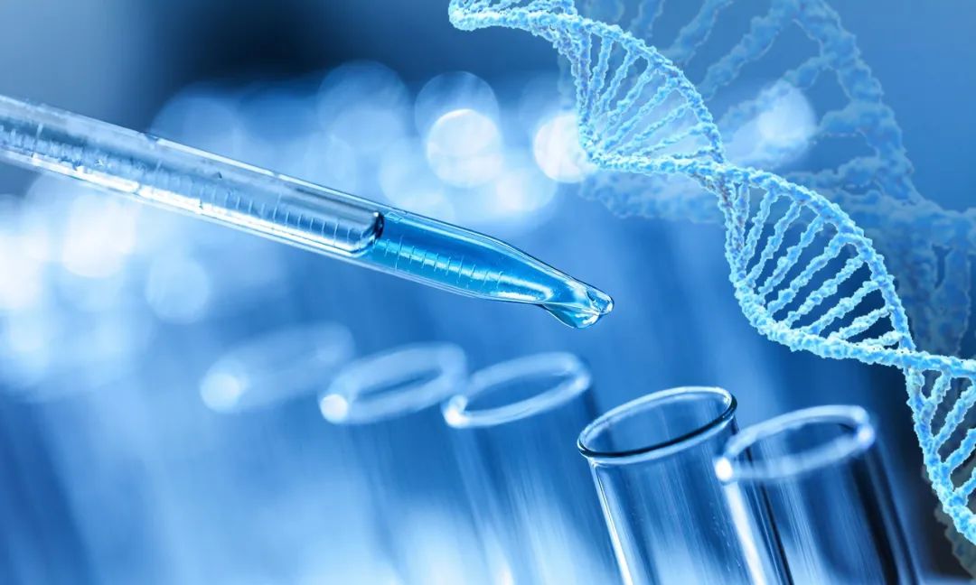 18亿元买两家猴场:一场CRO的猴子军备竞赛